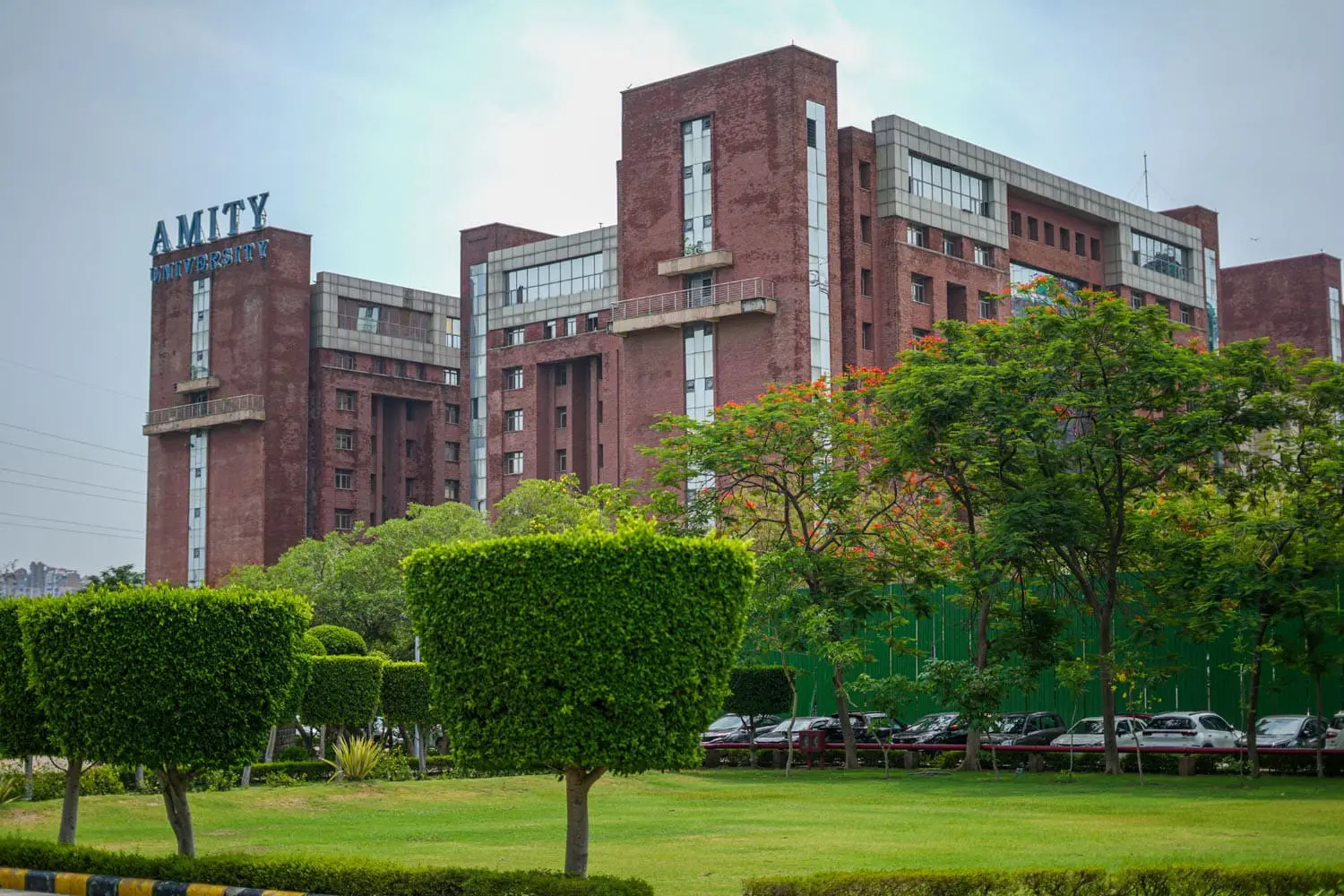 Amity University - Noida