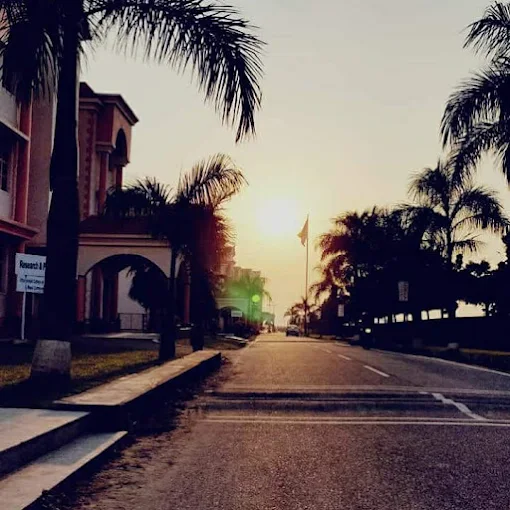 Uttaranchal University campus